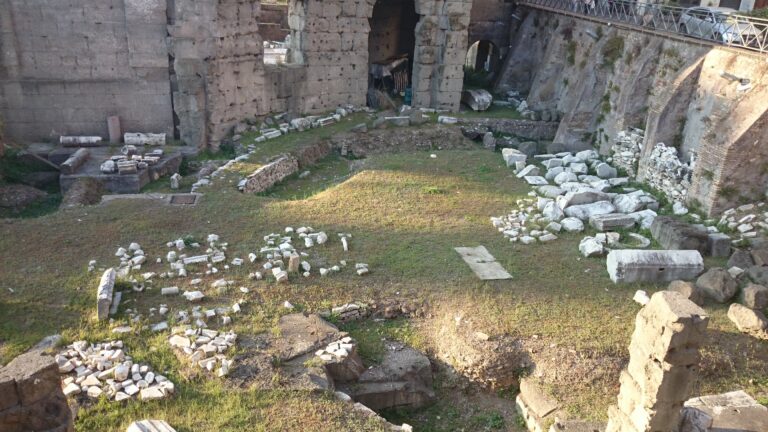 La baracca nel cuore dei Fori Imperiali a Roma I lettori segnalano. Una baracca in piena regola nel cuore dei Fori Imperiali a Roma. E la soprintendenza che fa? Pensa alle auto in divieto. Per difenderle…