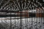 Le basi del Lichtgrenze © antje schröder kulturprojekte berlin Berlino ricorda il Muro con ottomila sfere luminose: nel 25° anniversario della riunificazione si prepara una installazione che evoca il tracciato dell’antico confine