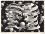 Maurits Cornelis Escher Vincolo d’unione 1956. Collezione Federico Giudiceandrea © 2014 The M.C. Escher Company. All rights reserved Tra arte, matematica e geometria: il mondo magico di Escher
