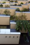 Milano il Bosco Verticale di Stefano Boeri foto Michela Deponti 12 533x800 Milano scopre il suo Bosco Verticale: fotogallery dei grattacieli firmati Stefano Boeri tra Porta Nuova e l’Isola. In corsa per l’Highrise Award