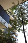 Milano il Bosco Verticale di Stefano Boeri foto Michela Deponti 4 533x800 Milano scopre il suo Bosco Verticale: fotogallery dei grattacieli firmati Stefano Boeri tra Porta Nuova e l’Isola. In corsa per l’Highrise Award