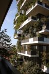 Milano il Bosco Verticale di Stefano Boeri foto Michela Deponti 5 533x800 Milano scopre il suo Bosco Verticale: fotogallery dei grattacieli firmati Stefano Boeri tra Porta Nuova e l’Isola. In corsa per l’Highrise Award