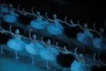 Swan Lake by V.Baranovsky 16 La storia della danza, a Ravenna. Il Balletto del Teatro Mariinskij di San Pietroburgo, la più importante compagnia di danza classica al mondo, chiude l’edizione 2014 del Ravenna Festival