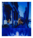 T.J. Wilcox Casati Nocturne 2008 Collezione Enea Righi courtesy Galleria Raffaella Cortese Milano. Foto © Antonio Maniscalco Luisa Casati, la performer della malia