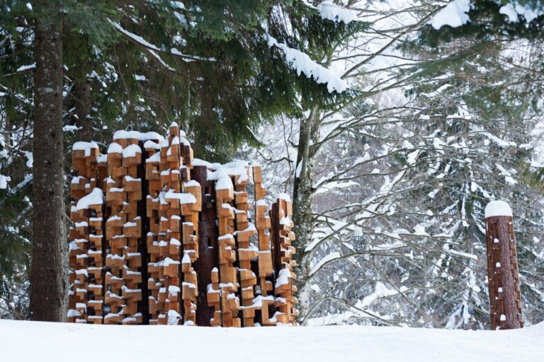 Urs Twellmann Bosco geometrico Copyright Arte Sella photo Giacomo Bianchi 2 Arte Sella, l’arte della land art