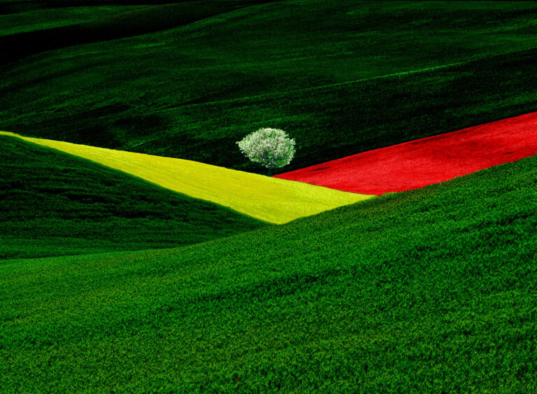 franco fontana landscapes urban and rural 03 Tutti i colori di Franco Fontana. Sospensioni e saturazioni, reinventando il reale