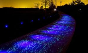 L’Olanda celebra Van Gogh. Con una pista ciclabile luminescente: due passi nella Notte Stellata…