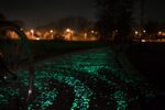 1845 5801 image L’Olanda celebra Van Gogh. Con una pista ciclabile luminescente: due passi nella Notte Stellata…