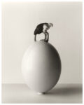 Chema Madoz Untitled 2011 Galerie Esther Woerdehoff Ecco il racconto per immagini del primo giorno Paris Photo. Fotografie da un milione e mezzo di dollari, Thomas Ruff in conversation, le recenti acquisizioni del MoMA, E tanti capolavori fra gli stand