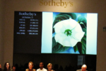 Georgia O’Keeffe Jimson Weed White Flower No 1 allasta Sothebys Un fiore da 44 milioni di dollari. L’americana Georgia O’Keeffe segna a New York il nuovo record d’asta per l’opera di un’artista donna