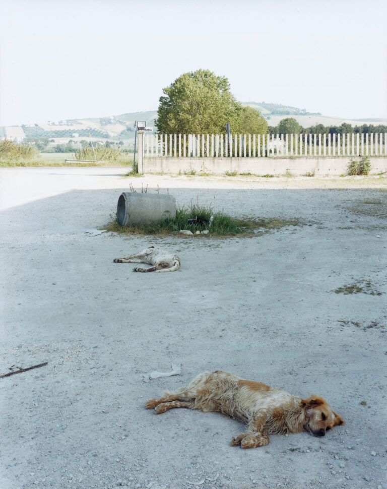 Guido Guidi Atri Guido Guidi, consacrazione di un fotografo. Veramente