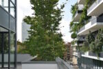 Il Bosco Verticale di Stefano Boeri 1 È il Bosco Verticale di Stefano Boeri il grattacielo più bello e innovativo del mondo. Il progetto milanese vince a Francoforte l’International Highrise Award