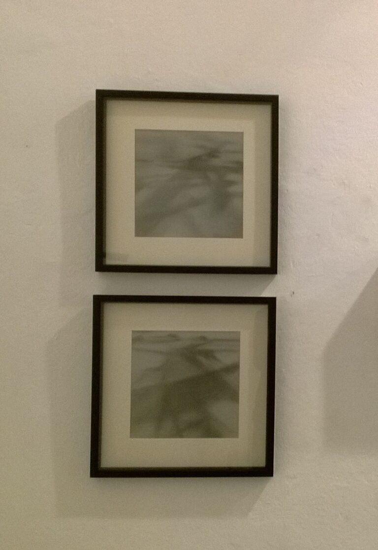 Marchetti Lamera e De Menis in mostra a Bergamo 5 Materie evanescenti: Antonio Marchetti Lamera e Ivan De Menis a Bergamo