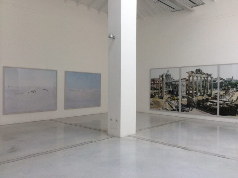 Massimo Vitali e Stuart Arends a Verona 2 L'etologo e il linguista: Massimo Vitali e Stuart Arends a Verona