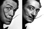 Philippe Halsman Salvador Dalí 1954 2014 Essere 10, 100, 1000 John Malkovich. Il fotografo Sandro Miller moltiplica l’identità del celebre attore: eccolo, a Chicago, nei panni di Warhol, Marylin, Dalì…  