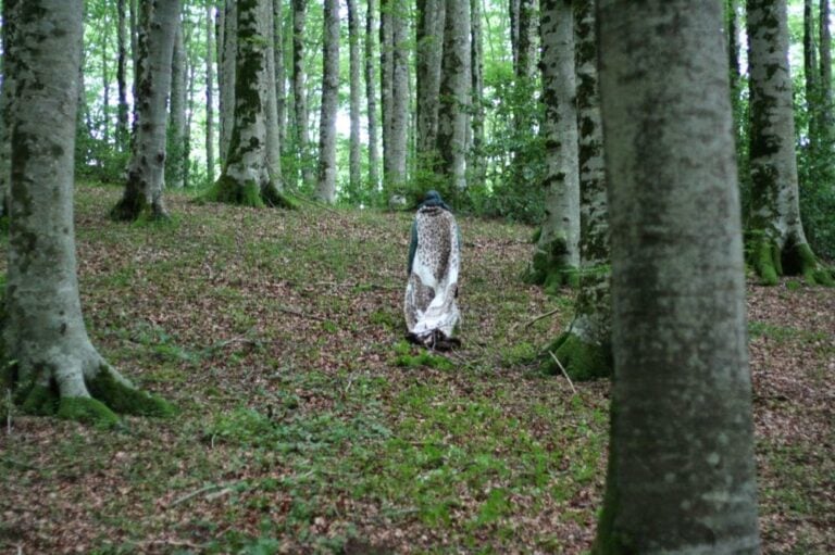 A Cielo Aperto 2014 Francesco Bertelé Centocapre 10 A Cielo Aperto, a Natale. Si conclude nel paese lucano di Latronico Centocapre, progetto di arte partecipata di Francesco Bertelé: ecco le immagini