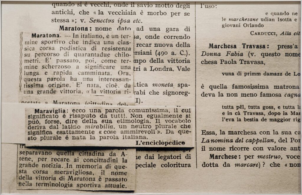 La seconda vita di un’immagine. Alessandra Spranzi a Bologna