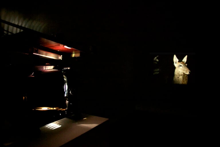 Anna Franceschini It’s All About Light To Joseph Plateau 1 2011 Produced with the support of the Rijksakademie van Beeldende KunstenAmsterdam and the Fiorucci Art Trust London Courtesy the artist and Vistamare Benedetta Spalletti Pescara Ironia del cinema. Anna Franceschini a Bristol