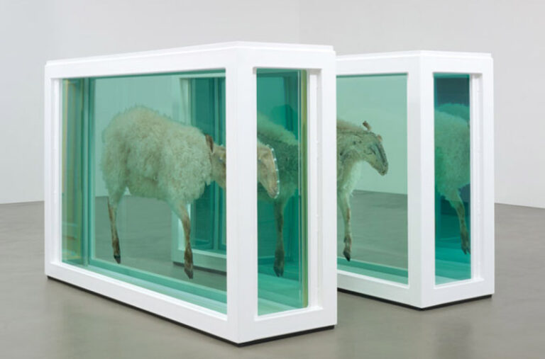 Damien Hirst Away From The Flock Divided 1995 Il meglio cinema del 2014. Dodici film (e qualche considerazione)