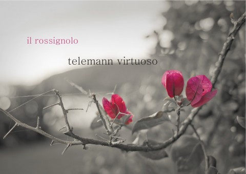 Telemann virtuoso