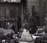 casaazul Frida Kahlo mai vista. Il New York Botanical Garden prepara la prima mostra di opere “naturalistiche”: sarà ricostruito anche il giardino della Casa Azzurra di Coyoacán