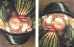 Arcimboldo, L’ortolano