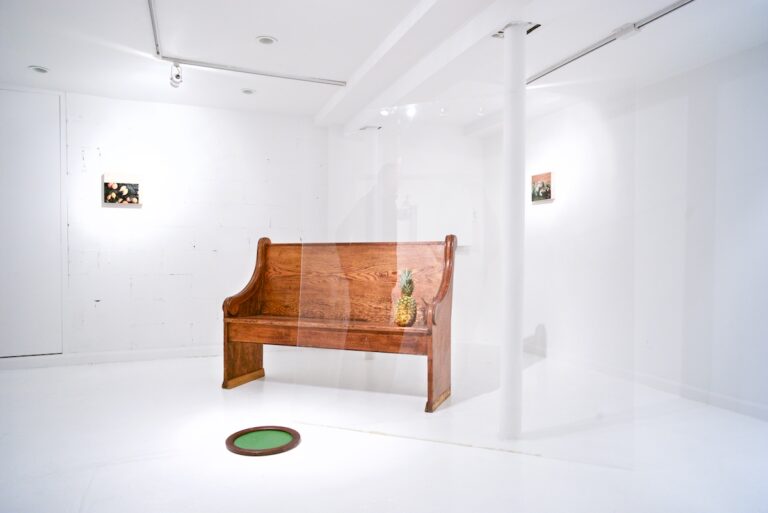 Arianna Carossa – Gattopardo - veduta della mostra presso la Rooster Gallery, New York 2014
