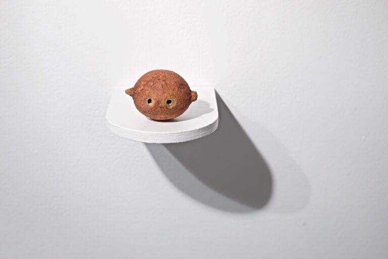 Arianna Carossa – Gattopardo - veduta della mostra presso la Rooster Gallery, New York 2014