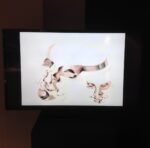 IED Moda per Transcorpus Body Worlds Roma 2015 5 Disegnati sul corpo. I gioielli degli studenti di Ied Moda esposti per Altaroma fra i cadaveri di Body Worlds, la mostra sull’anatomia umana