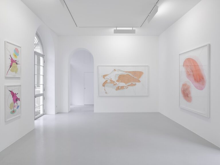 Jorinde Voigt. Salt Sugar Sex Lisson Gallery Milano 5 Jorinde Voigt. Anatomie sistemiche a Milano