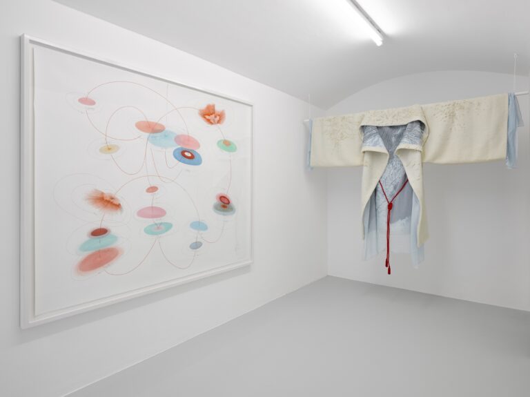 Jorinde Voigt. Salt Sugar Sex Lisson Gallery Milano 9 Jorinde Voigt. Anatomie sistemiche a Milano