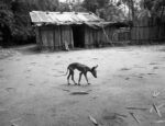 Macondo©Fausto.Giaccone 14 In viaggio nelle terre di García Márquez, a un anno dalla morte. Fausto Giaccone, dopo il suo libro-reportage, guida un workshop fotografico in Colombia