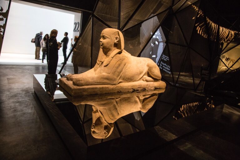 Musée des Confluences, Lione - collezione permanente – photo Quentin Lafont, dicembre 2014