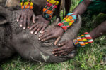 Ami Vitale (USA) - National Geographic, Salvataggio in Africa di un cucciolo di rinoceronte rimasto orfano