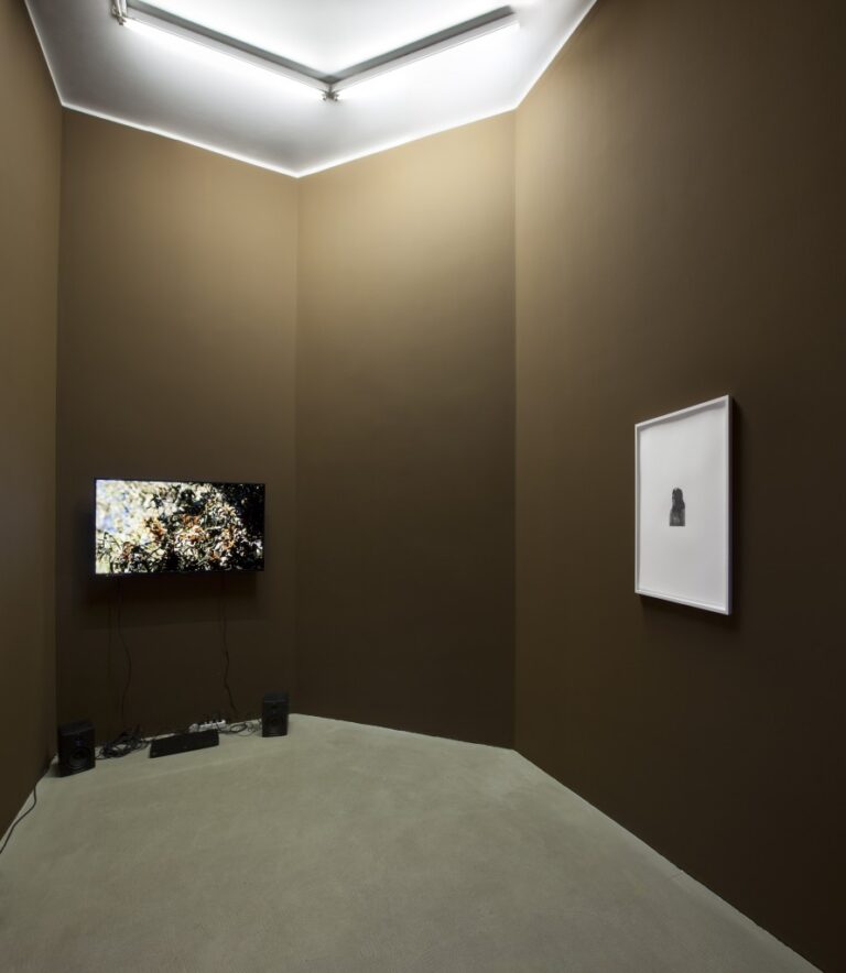 Andrea Bowers - Self-determination – veduta della mostra presso la Galleria Kaufmann Repetto, Milano 2015