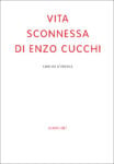 Carlos D’Ercole – Vita sconnessa di Enzo Cucchi – Quodlibet