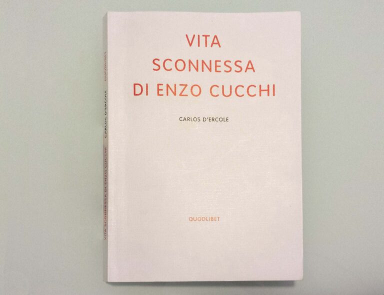 Carlos D'Ercole - Vita sconnessa di Enzo Cucchi