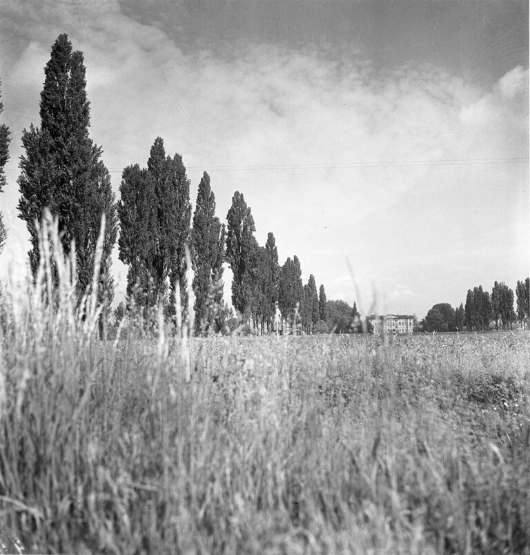 Milano - Foto di Renato Bazzoni © FAI - Fondo Ambiente Italiano