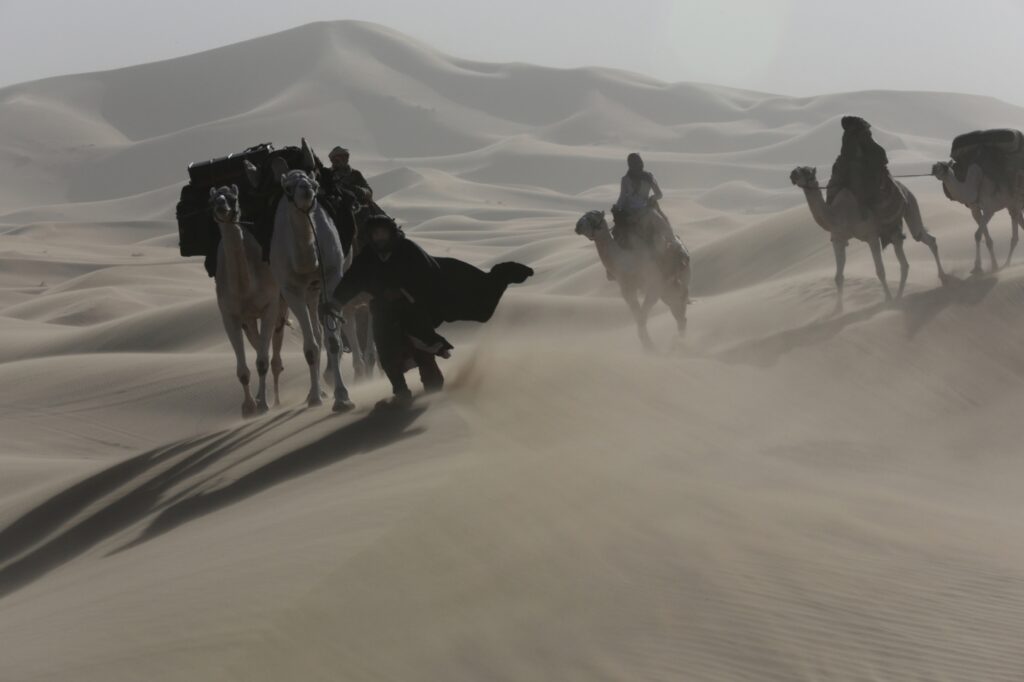 Berlinale Updates: la scena è tutta per Queen of  the Desert, il peggior film della carriera di Werner Herzog