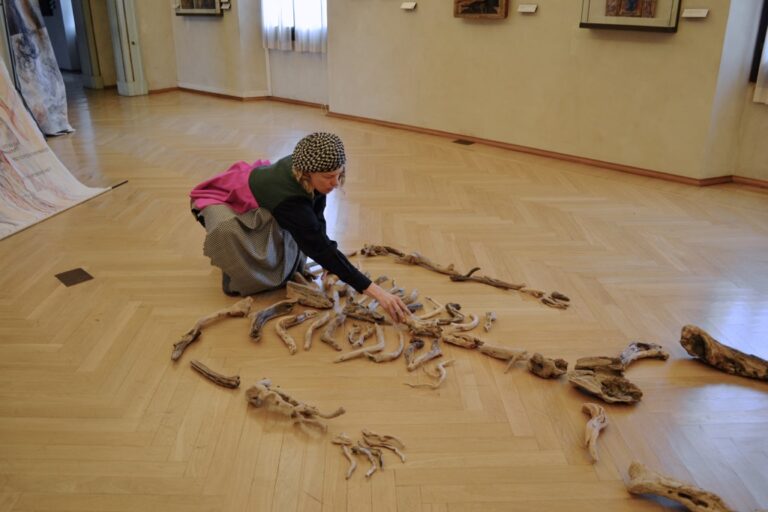 Sissi - Manifesto Anatomico - veduta della mostra presso Collezioni Comunali d'Arte, Bologna 2015