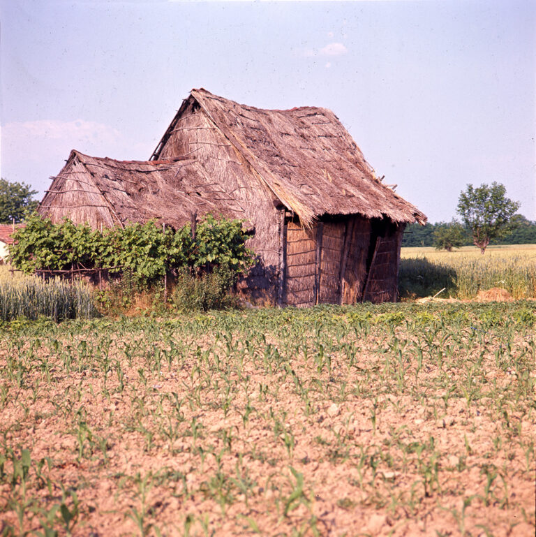 Vimercate, capanna doppia in paglia, 1972 - Foto di Renato Bazzoni © FAI - Fondo Ambiente Italiano