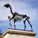 Hans Haacke, Gift Horse: vista della scultura installata sul Fourth Plinth in Trafalgar Square, Londra