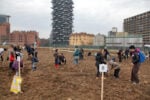 Agnes Denes Wheatfield courtesy Fondazione Riccardo Catella Milano 01 Da New York a Milano: l'opera di land art Wheatfield viene replicata per l'Expo 2015. Immagini della semina del grano nell'area di Porta Nuova