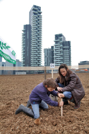 Da New York a Milano: l’opera di land art Wheatfield viene replicata per l’Expo 2015. Immagini della semina del grano nell’area di Porta Nuova