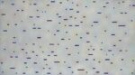 Carlo Battaglia, Spargi, 1970 - Collezione privata, Roma