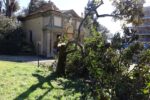 Danni del vento alla Fattoria di Celle Il parco della Fattoria di Celle devastato dal vento. Ecco qui i danni causati al famoso parco di scultura contemporanea creato nel pistoiese da Giuliano Gori