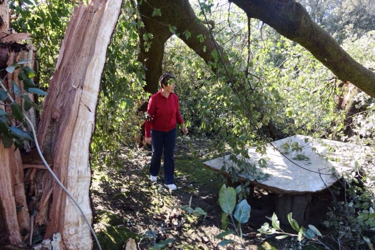 Danni del vento alla Fattoria di Celle 1 Il parco della Fattoria di Celle devastato dal vento. Ecco qui i danni causati al famoso parco di scultura contemporanea creato nel pistoiese da Giuliano Gori