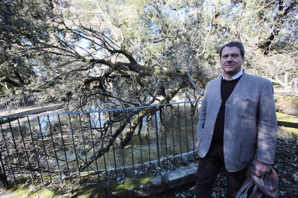 Il parco della Fattoria di Celle devastato dal vento. Ecco qui i danni causati al famoso parco di scultura contemporanea creato nel pistoiese da Giuliano Gori