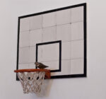 Davide Monaldi, Canestro da basket con uccellino, 2013