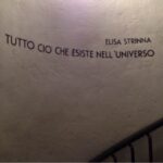 Elisa Strinna, Tutto ciò che esiste nell'universo